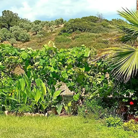 Sea Breeze 1 דירה לימנריה